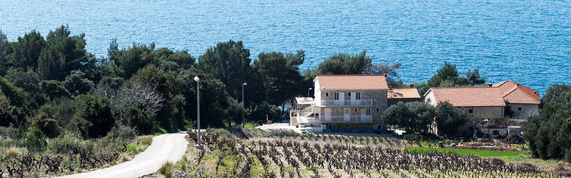 Hotel Petka Dubrovnik