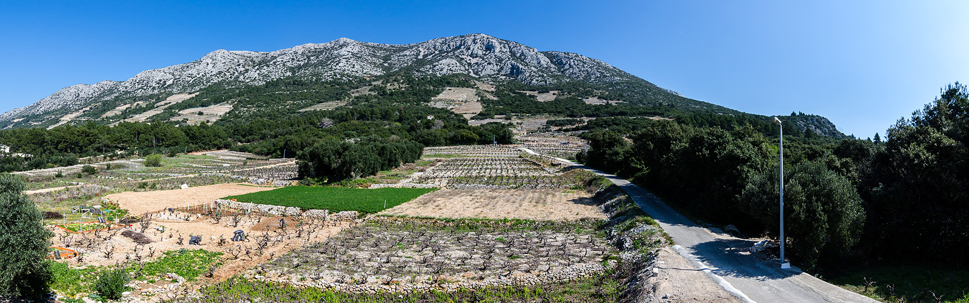 Villa Anadingac, Dingac, Peljesac peninsula