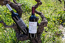 Villa Anagingač, our fine domestic wine